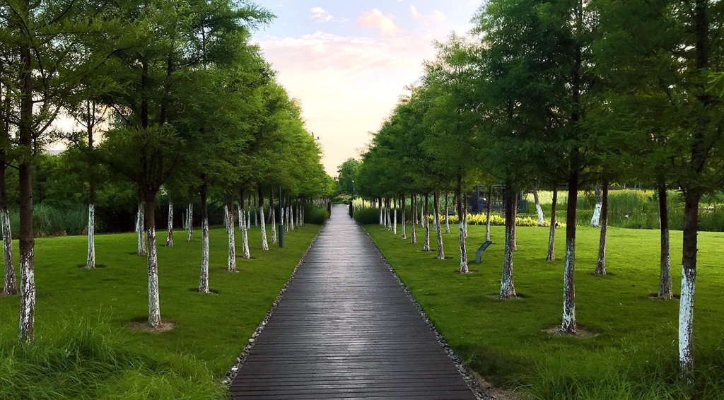 20190606_faceu_1559816565797.jpg